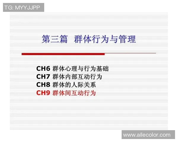 球迷行为学研究：从情感认同到群体互动的心理机制与社会影响分析